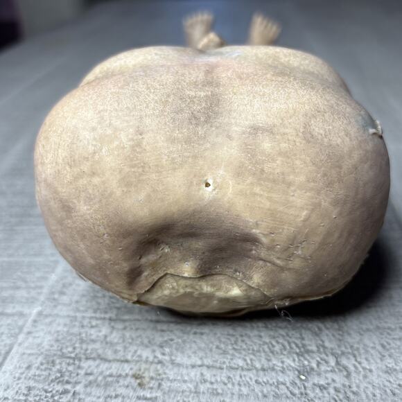 Latex Alien Extraterrestrial Figure Prop 13” Area 51 Halloween - Picture 8 of 9